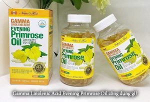 Gamma Linolenic Acid Evening Primrose Oil công dụng gì?-1
