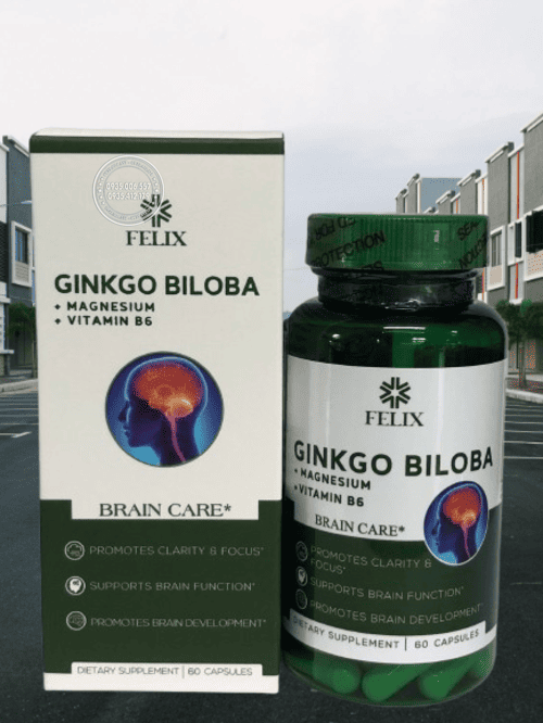thuoc-bo-nao-felix-ginkgo-biloba-gia-bao-nhieu-mua-o-dau-uy-tin2