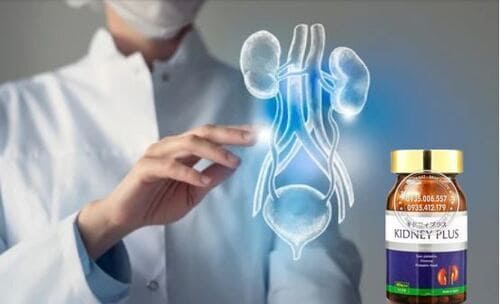 thuoc-bo-than-kidney-plus-gia-bao-nhieu-mua-o-dau-uy-tin2